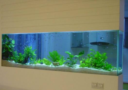 �¼Ҕ[ʲô�[�����\�ã��P�ҷ��~�׷�ʲôλ�ñ��^�Ú��\