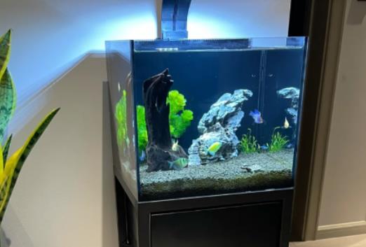 �B(y��ng)�~�Ě��\(y��n)��ʲô�v�������P(gu��n)�ܷ�С�~�׆�