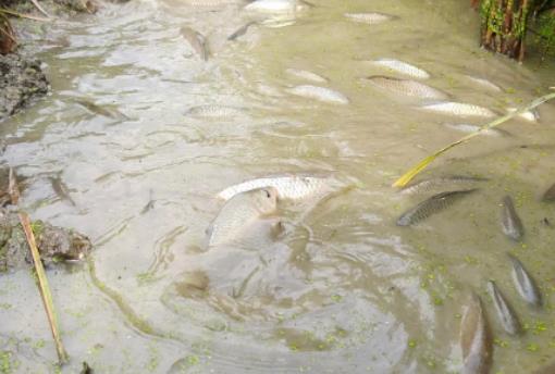 �B(y��ng)�~(y��)ٍ�X(qi��n)���L(f��ng)�U(xi��n)��᣿�����B(y��ng)�~(y��)һ�����B(y��ng)�����~(y��)