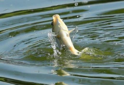 5���~��һ������������r(n��ng)���~���m���B(y��ng)ʲô�~