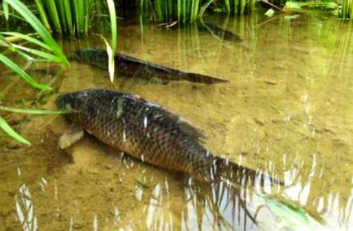 ��ʮ��ˮ���B�~һ�����ж���������ˮ��2��һ�����B�����~