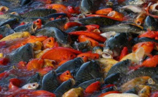 ���~��������˯�X�᣿���~������ÿ����L�r(sh��)�gһ����~��