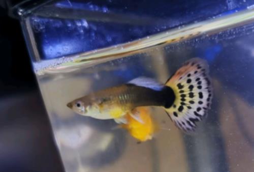 ���~��������˯�X�᣿���~������ÿ����L�r(sh��)�gһ����~��