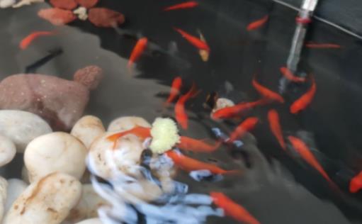 �~�דQˮ����߀�����磿�~��ˮ���嵫������ĭ��(du��)�~��Ӱ푆�