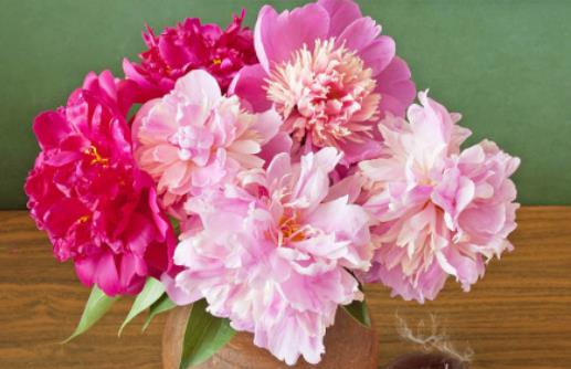 ��ˎ���Lʲô��������ˎ�������Xһ֧