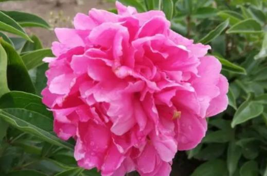 ��ˎˮ�BҪ��ˮ߀����ˮ����ˎʲô�����_��