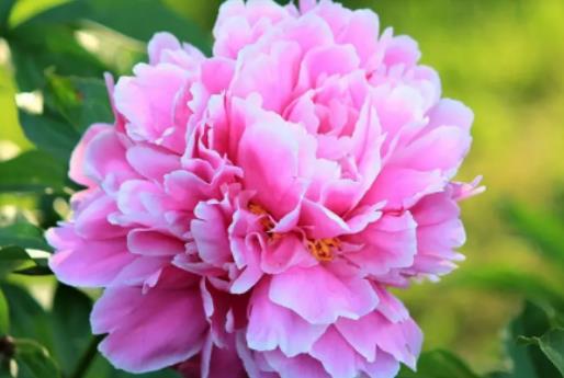 ��ˎˮ�BҪ��ˮ߀����ˮ����ˎʲô�����_��