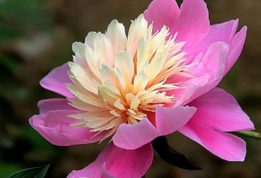 ��ʲô�Nĵ����횷N��ˎ����ˎ���Ļ��ڶ��L