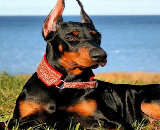 ʮ�����Ҍ�(sh��)�Ĺ����������ɪ{Ȯ׌���̿��������K���m����Ȯ��������