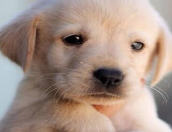 ʮ�����Ҍ�(sh��)�Ĺ����������ɪ{Ȯ׌���̿��������K���m����Ȯ��������