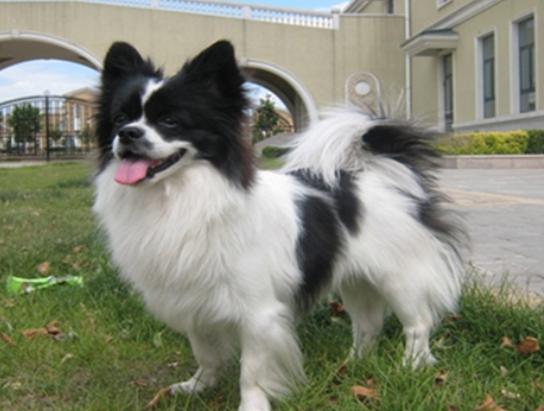 ʮ�����Ҍ�(sh��)�Ĺ����������ɪ{Ȯ׌���̿��������K���m����Ȯ��������