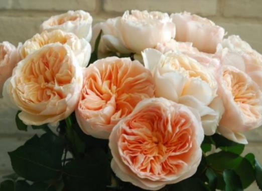 �����~õ���ʲô��ô�F���B(y��ng)�����~õ����Щ��Ҫע���