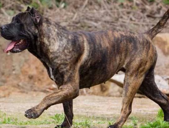 ����ʮ����B(y��ng)��Ȯ���а񣬱���Ȯ�ǳ����͡��ձ�����ϲ�g��