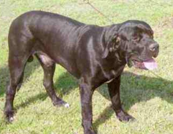 ����ʮ����B(y��ng)��Ȯ���а񣬱���Ȯ�ǳ����͡��ձ�����ϲ�g��