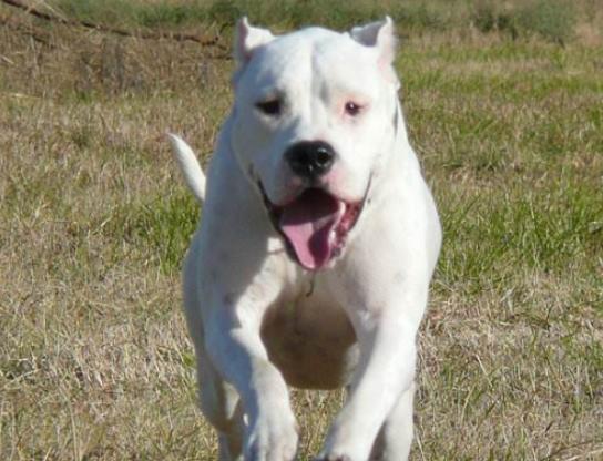 ����ʮ����B(y��ng)��Ȯ���а񣬱���Ȯ�ǳ����͡��ձ�����ϲ�g��