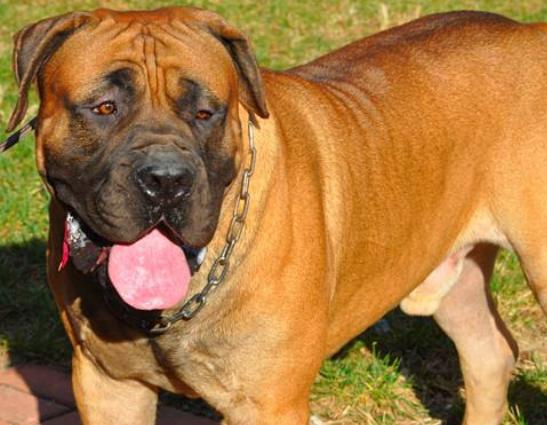 ����ʮ����B(y��ng)��Ȯ���а񣬱���Ȯ�ǳ����͡��ձ�����ϲ�g��