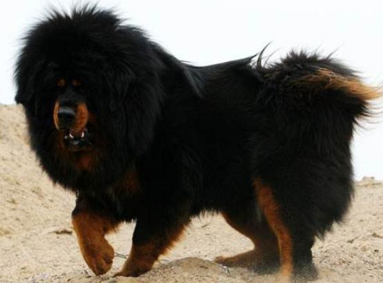 ����ʮ����B(y��ng)��Ȯ���а񣬱���Ȯ�ǳ����͡��ձ�����ϲ�g��