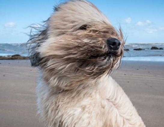 ����ʮ����B(y��ng)��Ȯ���а񣬱���Ȯ�ǳ����͡��ձ�����ϲ�g��