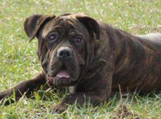 ����ʮ����B(y��ng)��Ȯ���а񣬱���Ȯ�ǳ����͡��ձ�����ϲ�g��