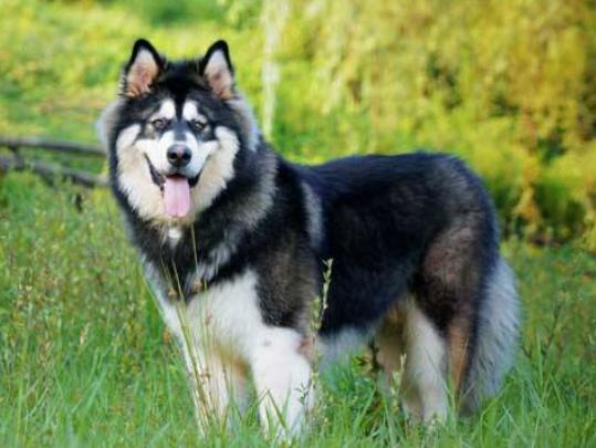 ʮ���혵�Ȯ���а�����ëȮ������ȇ}��������ϲ�gճ����