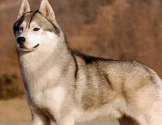 ʮ���혵�Ȯ���а�����ëȮ������ȇ}��������ϲ�gճ����