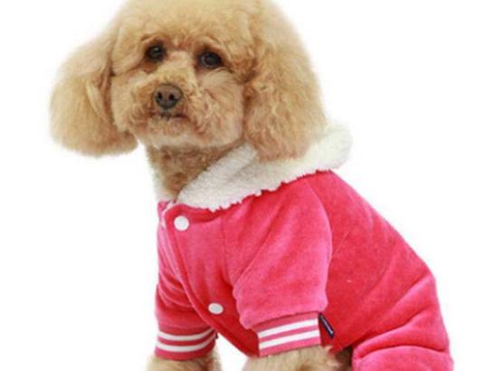 ʮ���혵�Ȯ���а�����ëȮ������ȇ}��������ϲ�gճ����