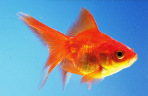 ͥԺ�~�׶�����ô�^�����~�׿��Բ���ˮ�Æ�