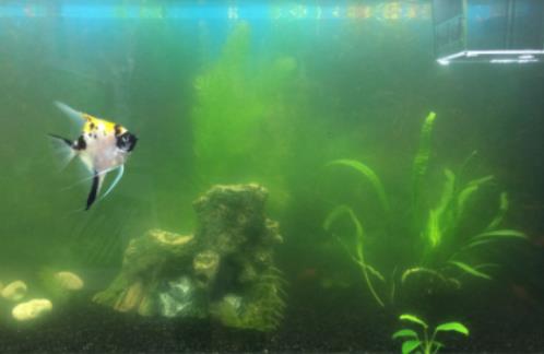 �~��ˮ�l�׌��~��Ӱ푆᣿�B�~ˮ�l������ô����