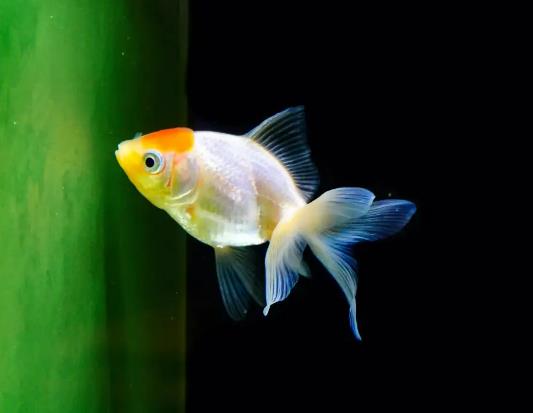 �ԁ�ˮ����ֱ���B(y��ng)�~�᣿�~�׼ӟ���ܷ��ڵײ���