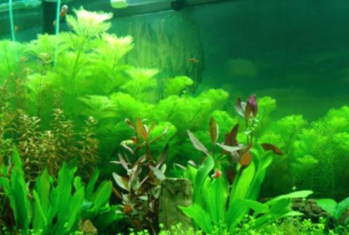 �~�ױ��ϵ�����ôȥ�����~��ˮ���ǜ���ô�坍ˮ