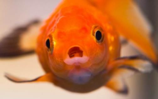 ���~��β��ô�k�����~β��ĩ�˰l��߀�еľȆ�