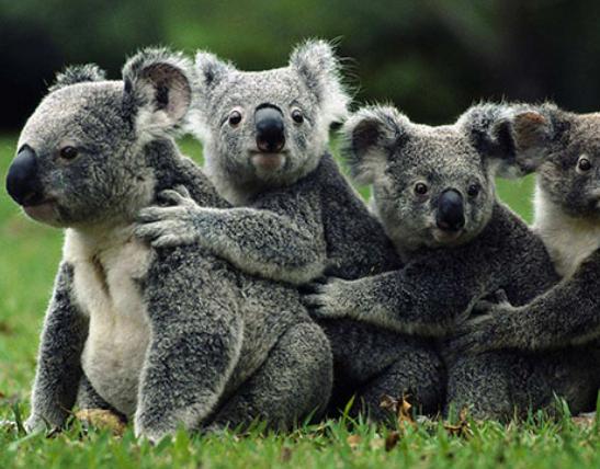 ����ʮ�����ܚgӭ����������؈���҇����������������đС