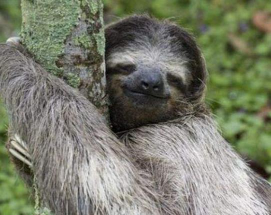 ����ʮ�����ܚgӭ����������؈���҇����������������đС