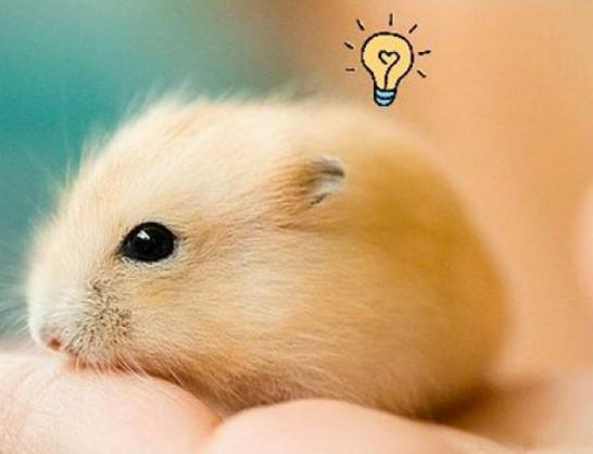 ����ʮ�����ܚgӭ����������؈���҇����������������đС