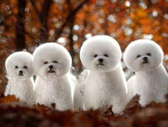 ����ʮ�����ܚgӭ����������؈���҇����������������đС