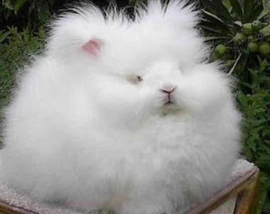 ����ʮ�����ܚgӭ����������؈���҇����������������đС