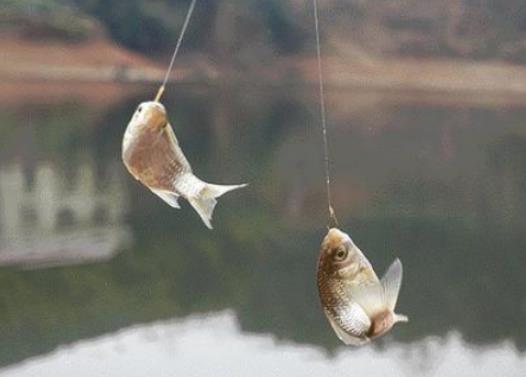 С����~�~�ںÆ᣿឴��~��ʲô�Ӿ���