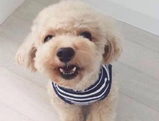 ʮ����Ȯ������߅������Ȯ��혙C�����F�eȮ��ͬ�F�D�マ��