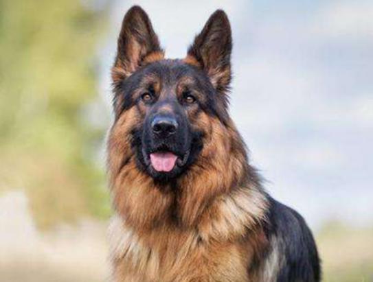 ʮ����Ȯ������߅������Ȯ��혙C�����F�eȮ��ͬ�F�D�マ��