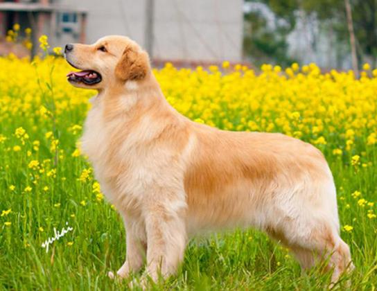 ʮ����Ȯ������߅������Ȯ��혙C�����F�eȮ��ͬ�F�D�マ��