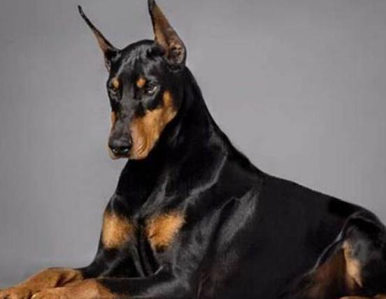 ʮ����Ȯ������߅������Ȯ��혙C�����F�eȮ��ͬ�F�D�マ��