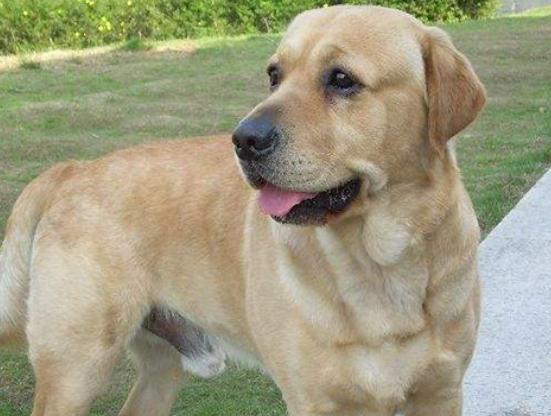 ʮ����Ȯ������߅������Ȯ��혙C�����F�eȮ��ͬ�F�D�マ��