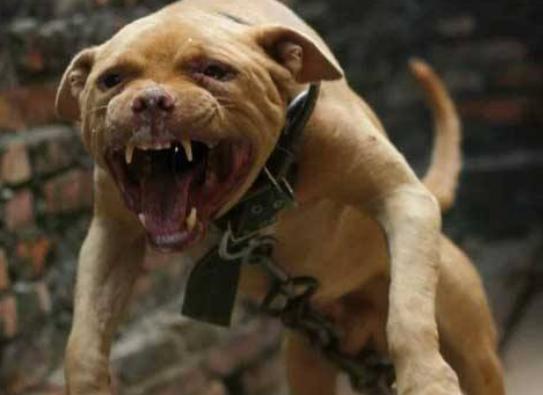 ����ʮ��Ȯ���а񣬱���Ȯ�����B���¸ҡ�����͢�Ÿ�ʮ�փ���