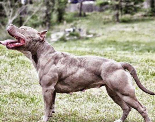 ����ʮ��Ȯ���а񣬱���Ȯ�����B���¸ҡ�����͢�Ÿ�ʮ�փ���