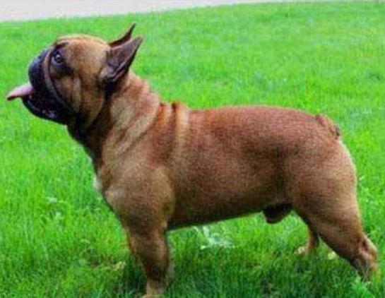 ����ʮ��Ȯ���а񣬱���Ȯ�����B���¸ҡ�����͢�Ÿ�ʮ�փ���