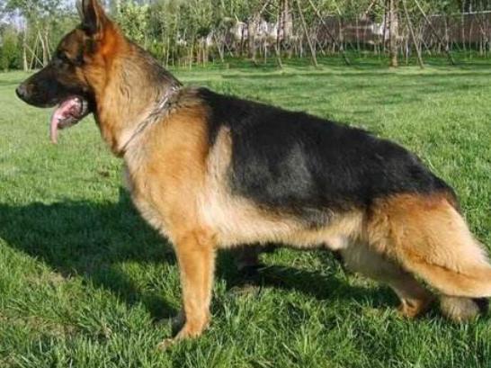 ����ʮ��Ȯ���а񣬱���Ȯ�����B���¸ҡ�����͢�Ÿ�ʮ�փ���