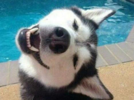 ����ʮ���Ȍ�������Ӣ��(gu��)��ë؈����ɐۡ��_ĦҮ���F�����ǂ�(g��)����