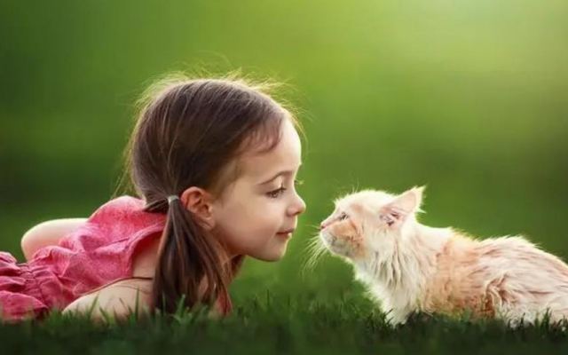 ����ϲ�g�����ĕ�(hu��)��Ů��?ji��n)?���г�ʲô��������Ů��