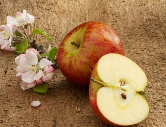 ƽ��ҹ���O����ʲô��˼��ƽ��ҹ���O�����Ɂ�