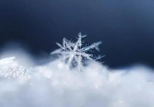 С����(du��)����(ji��)��Ӱ푆᣿С���ǎ׾ŵڎ���